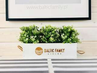 Курортные отели Baltic Family Мельно Дом с 2 спальнями-40